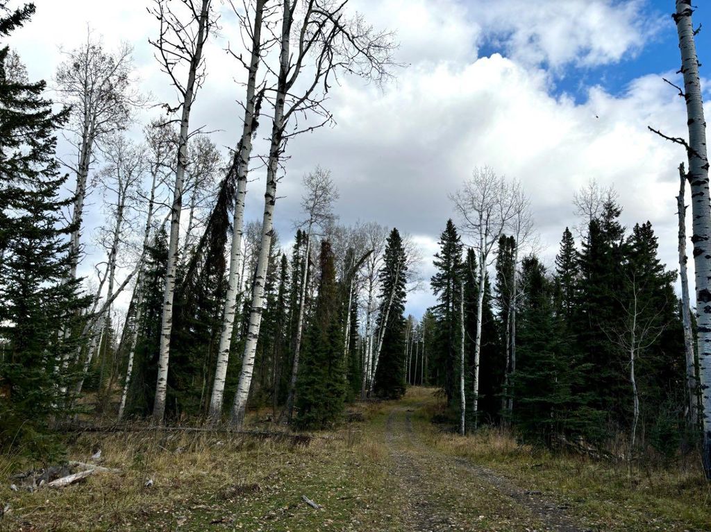 Photo of Range Road 72 #32521, Rural Mountain View County, AB T0M 1X0 (MLS # A2264822)