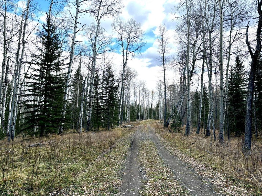Photo of Range Road 72 #32521, Rural Mountain View County, AB T0M 1X0 (MLS # A2264822)