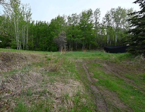 Photo of 4912 59 Street, Athabasca, AB T9S 1L6 (MLS # A2280863)