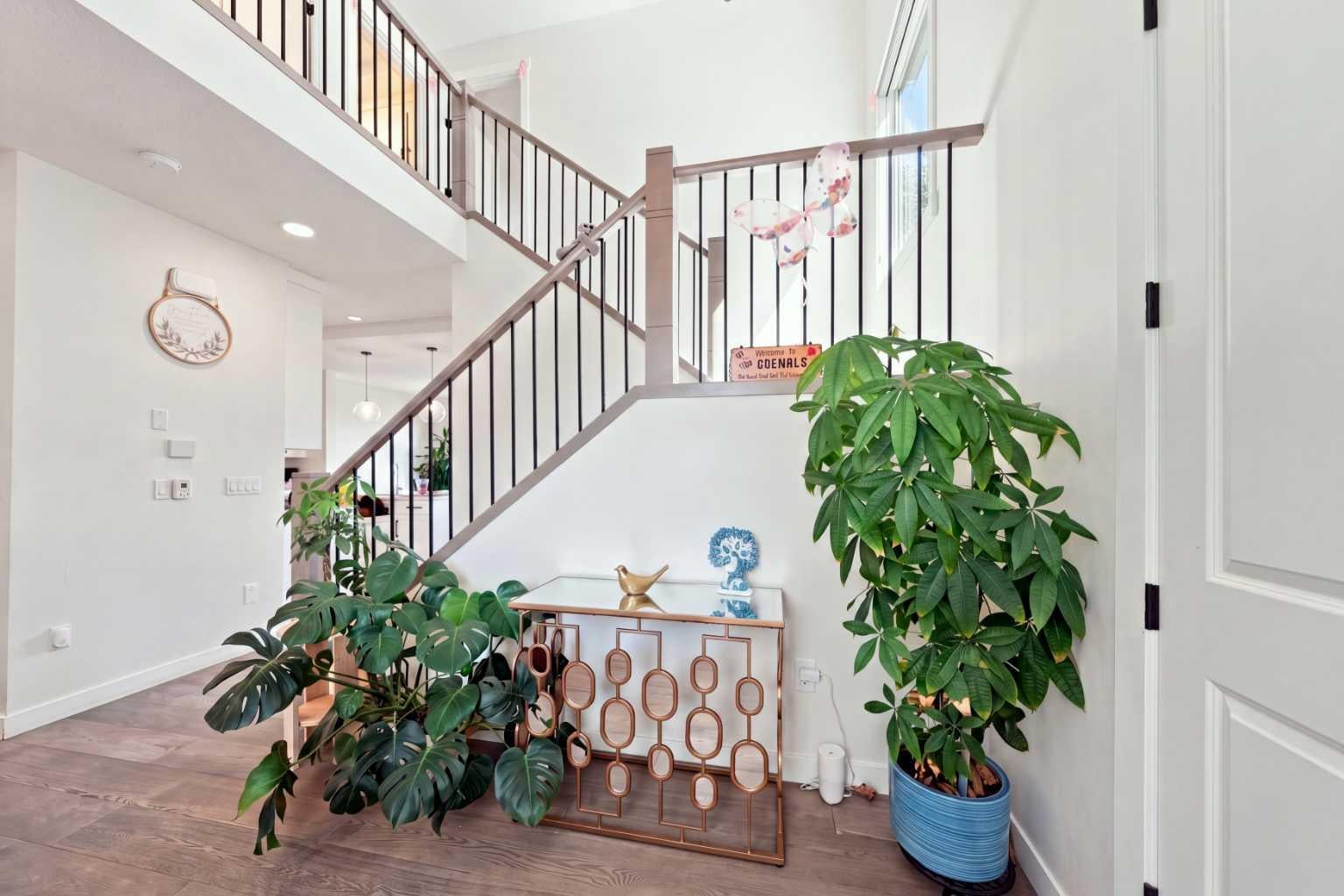 170 Chelsea Road