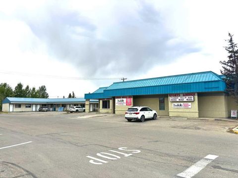 309 Main Street Three Hills AB T0M 2A0