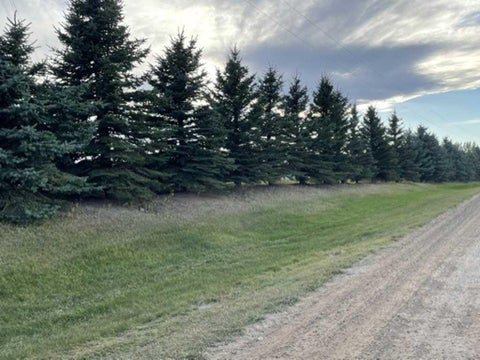 Photo of TWP RD 260, Rural Rocky View County, AB T1Z 0Z3 (MLS # A2350659)