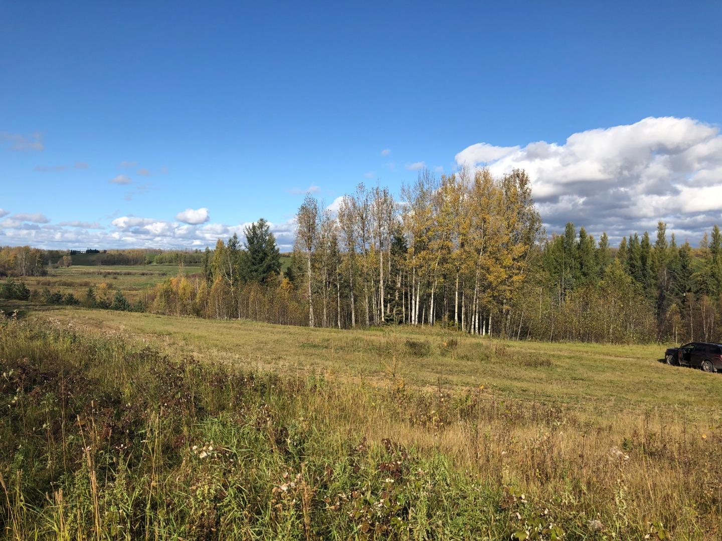 16326 Twp Rd 675 115