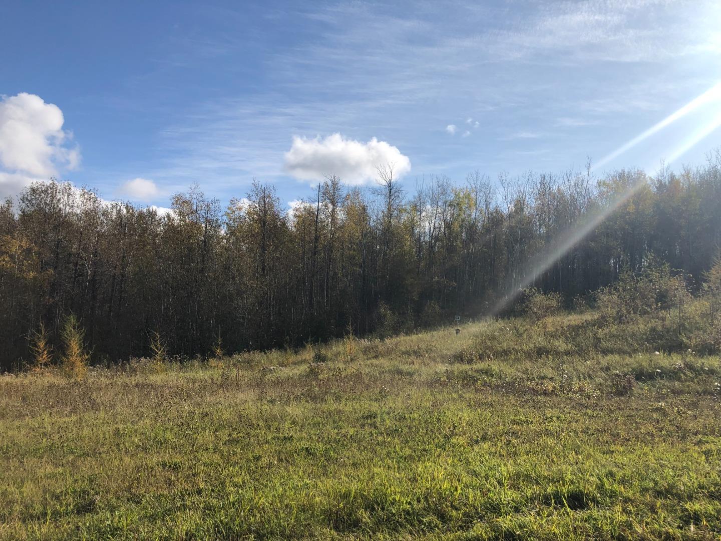 16326 Twp Rd 675 115