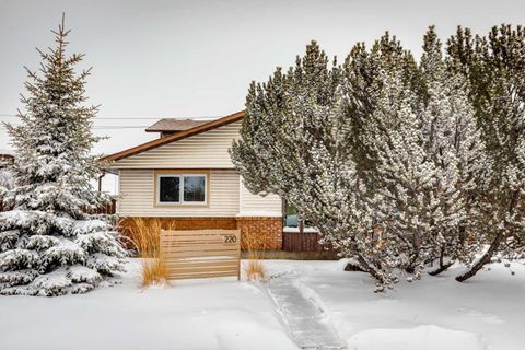 220 Templeby Place NE Calgary AB T1Y 5H1