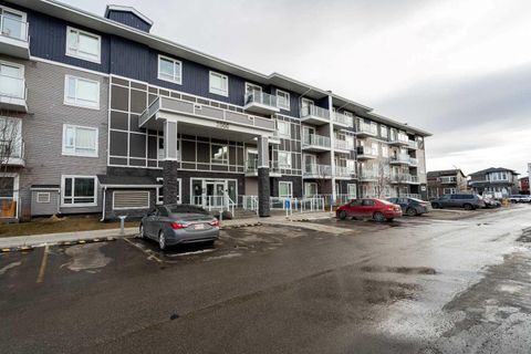 76 Cornerstone Passage NE 2205 Calgary AB T3N 0Y6
