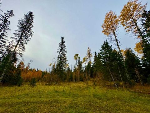 Photo of 103 Meadow Ponds Drive, Rural Clearwater County, AB T4T 1A7 (MLS # A2264692)