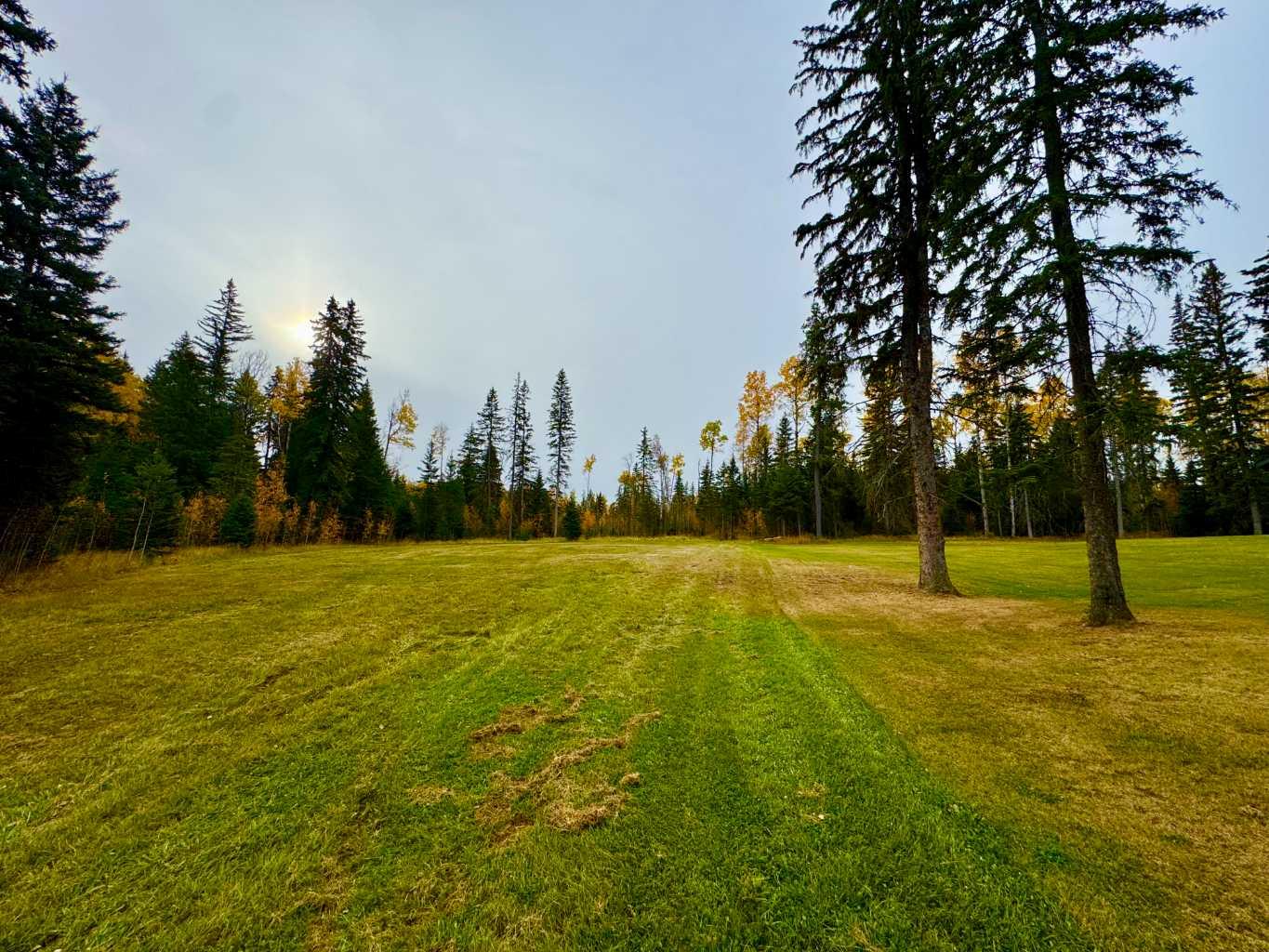 103 Meadow Ponds Drive