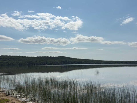 Photo of 50528 Range Road #144, Rural Minburn No. 27, County of, AB T0B 2G0 (MLS # A2329124)
