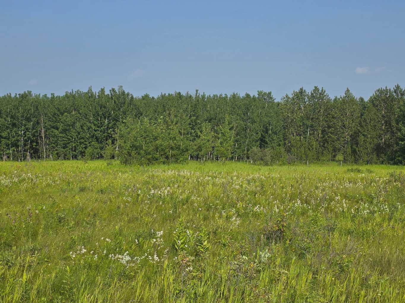 Lot 17 Wood Heights Road