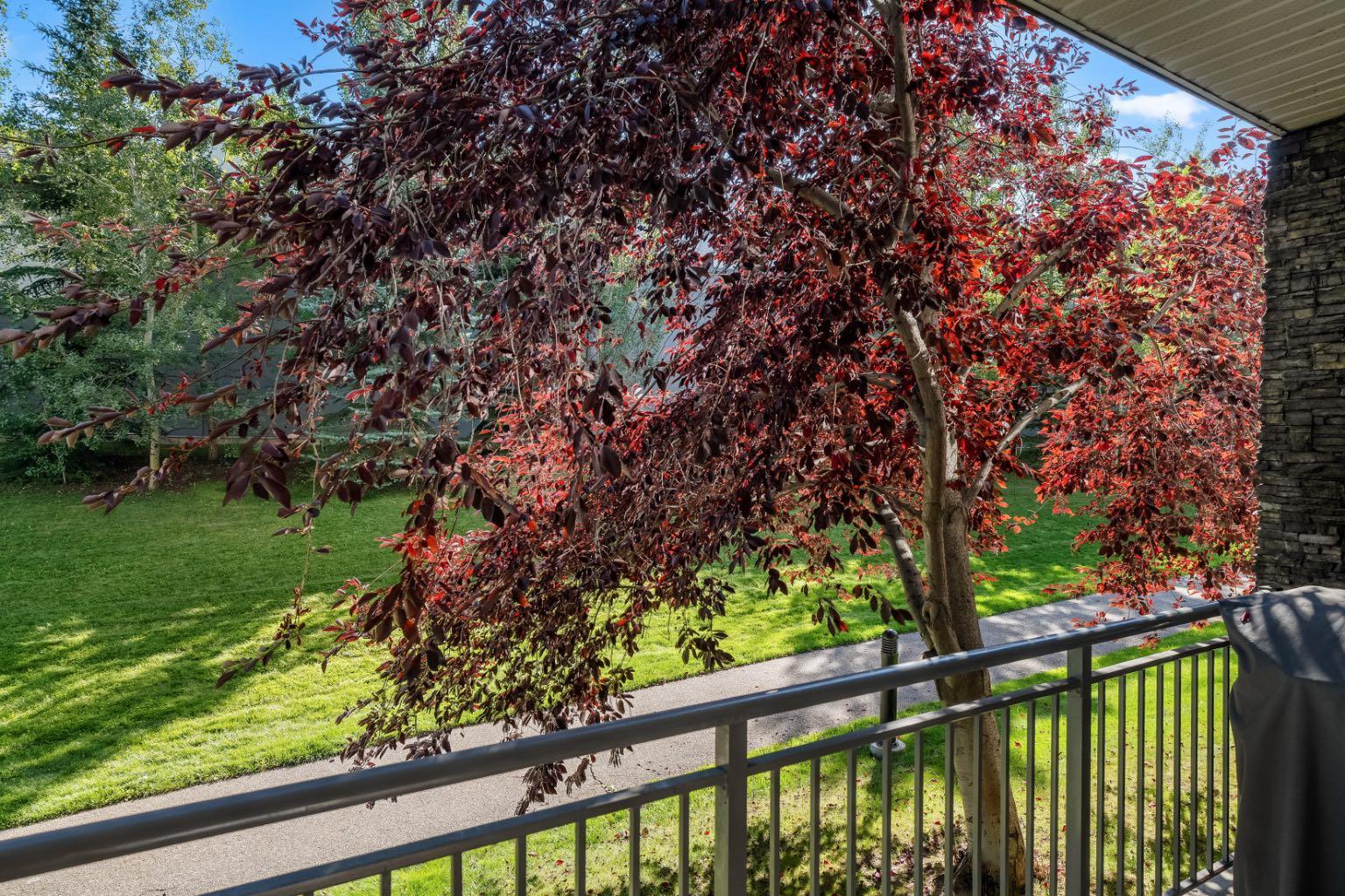 11 Millrise Drive SW 125