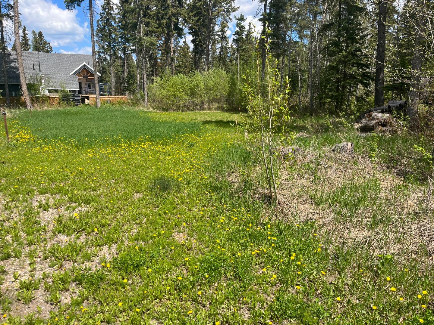 807 Brightsand Crescent