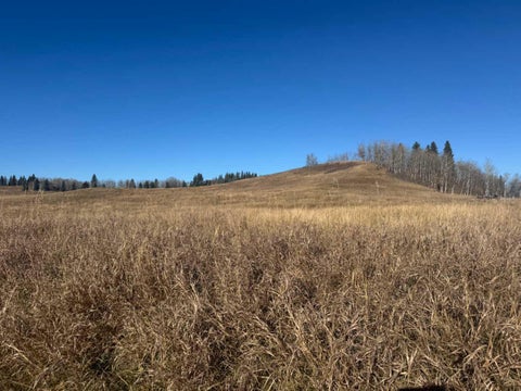 Photo of ON 264 Avenue W, Rural Foothills County, AB T1S 5H9 (MLS # A2354665)