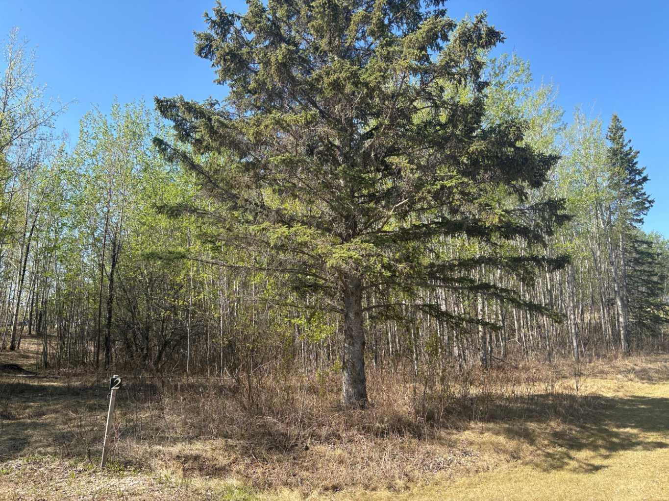 660023 Range Road 224 #2