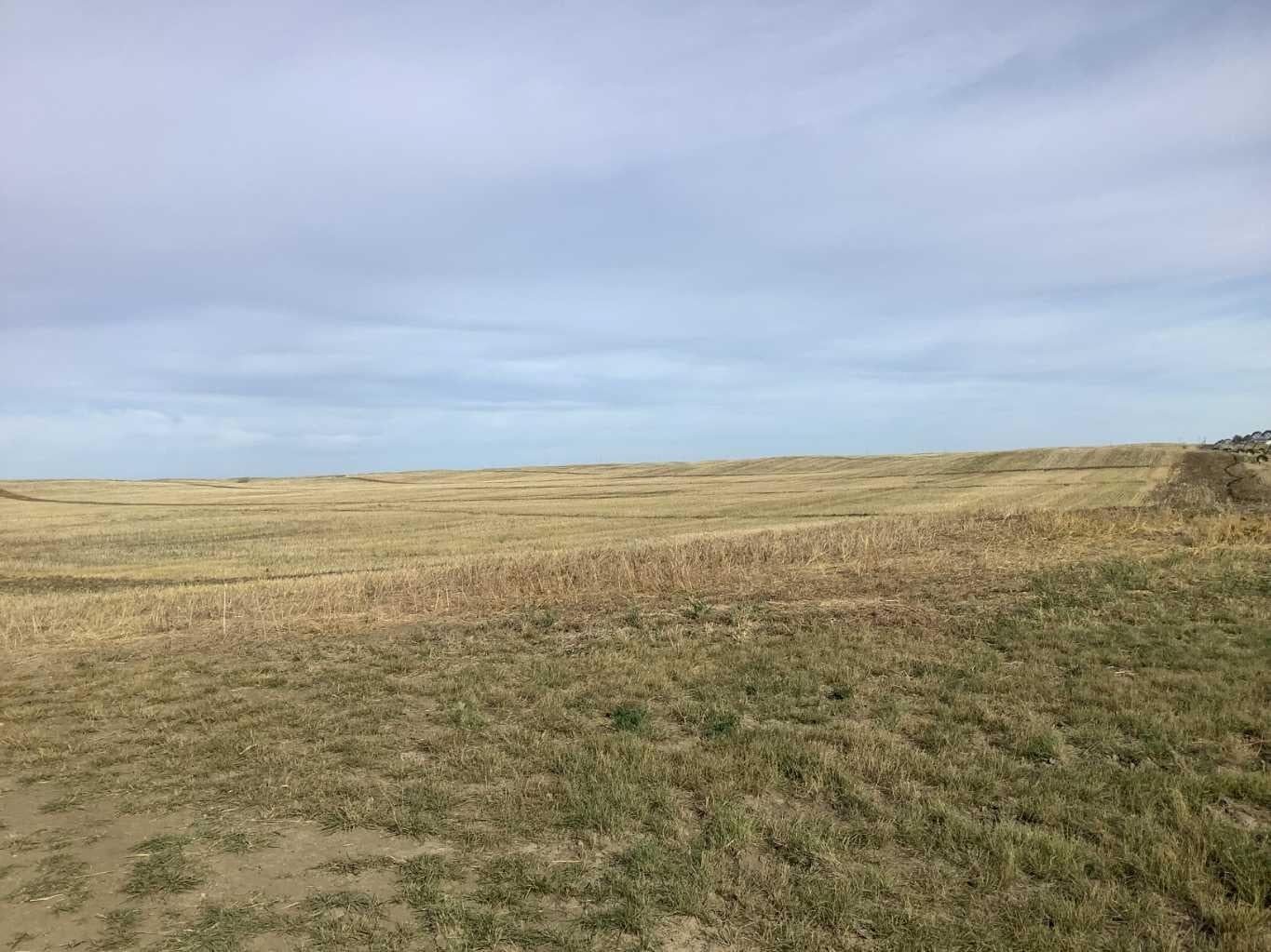 rural S 18 16 19 W4