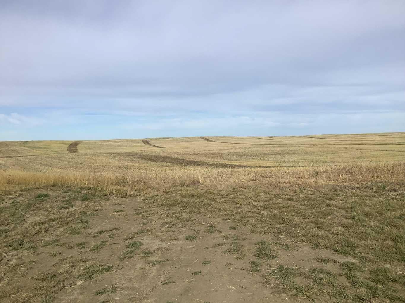 rural S 18 16 19 W4