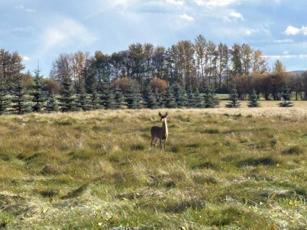 Photo of 10413 Township Rd 73 Road, Kinuso, AB T0G 2K0 (MLS # A2351364)