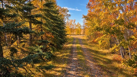 Photo of On RR 251, Rural Red Deer County, AB T0M 1S0 (MLS # A2346475)