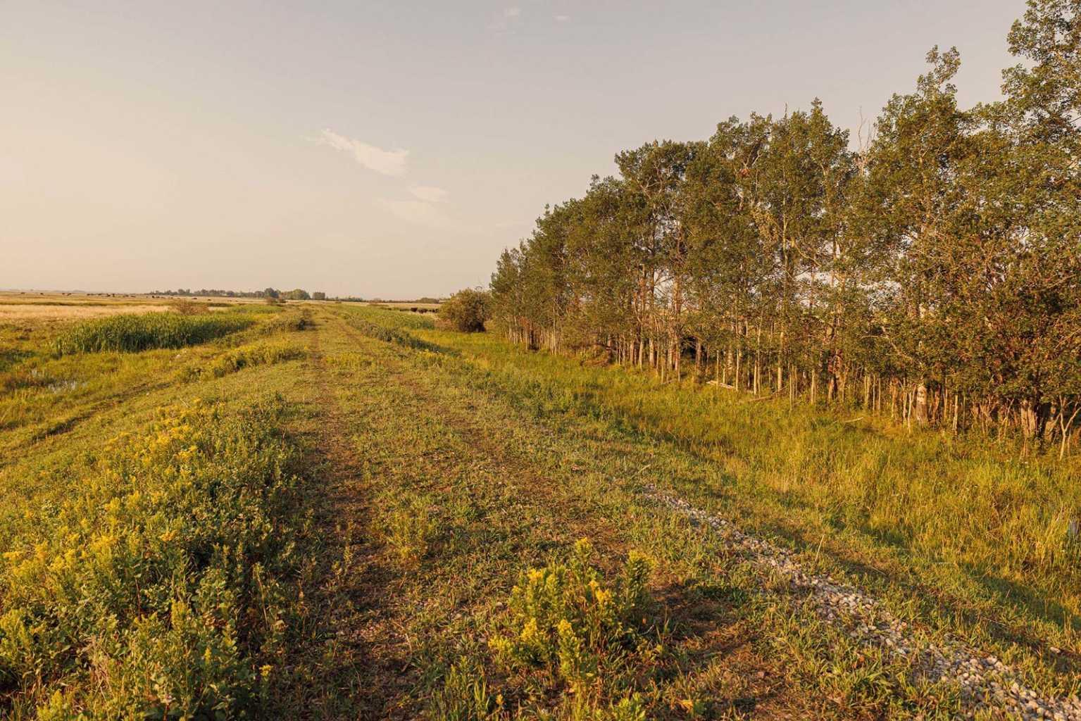 Parcel 7 Range Road 271 just south of Highway 9.