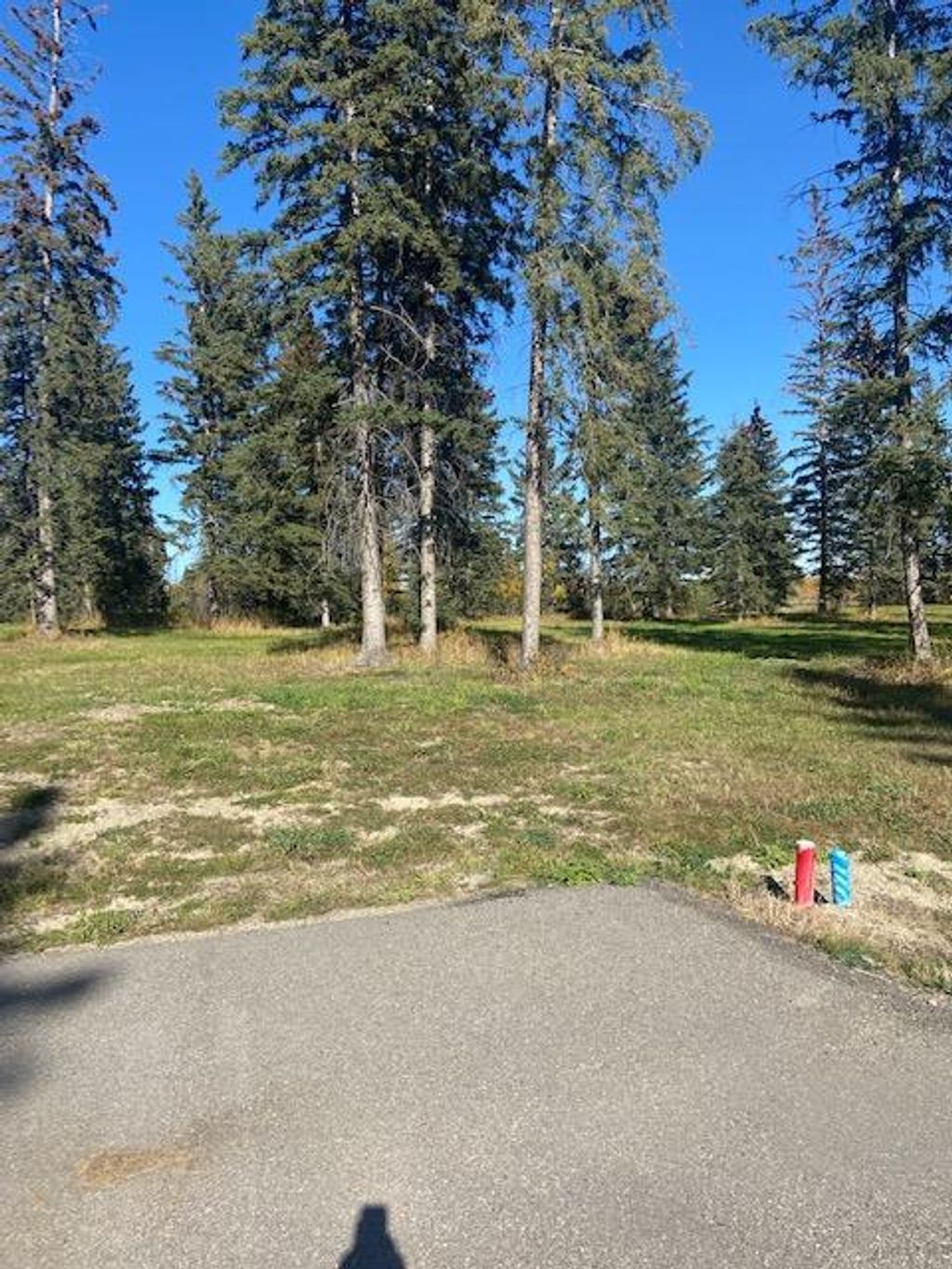 Photo of 313 Valley View Drive, Rural Clearwater County, AB T4T 1A7 (MLS # A2004831)