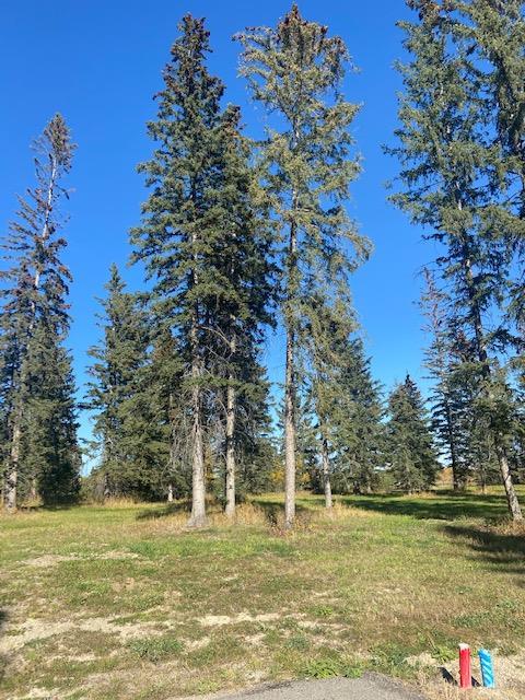 313 Valley View Drive