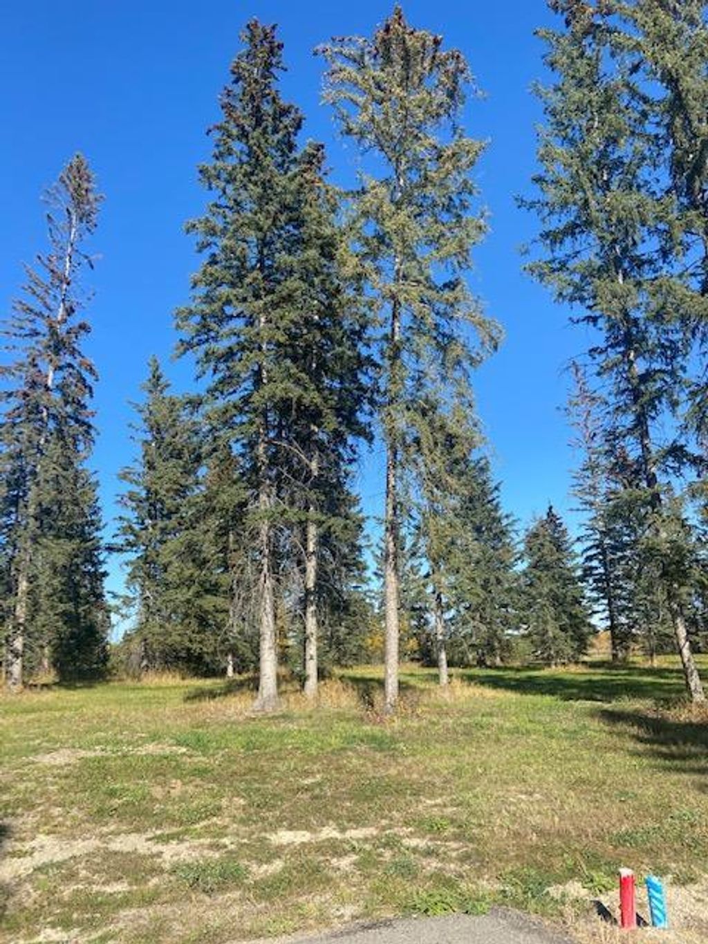 Photo of 313 Valley View Drive, Rural Clearwater County, AB T4T 1A7 (MLS # A2004831)