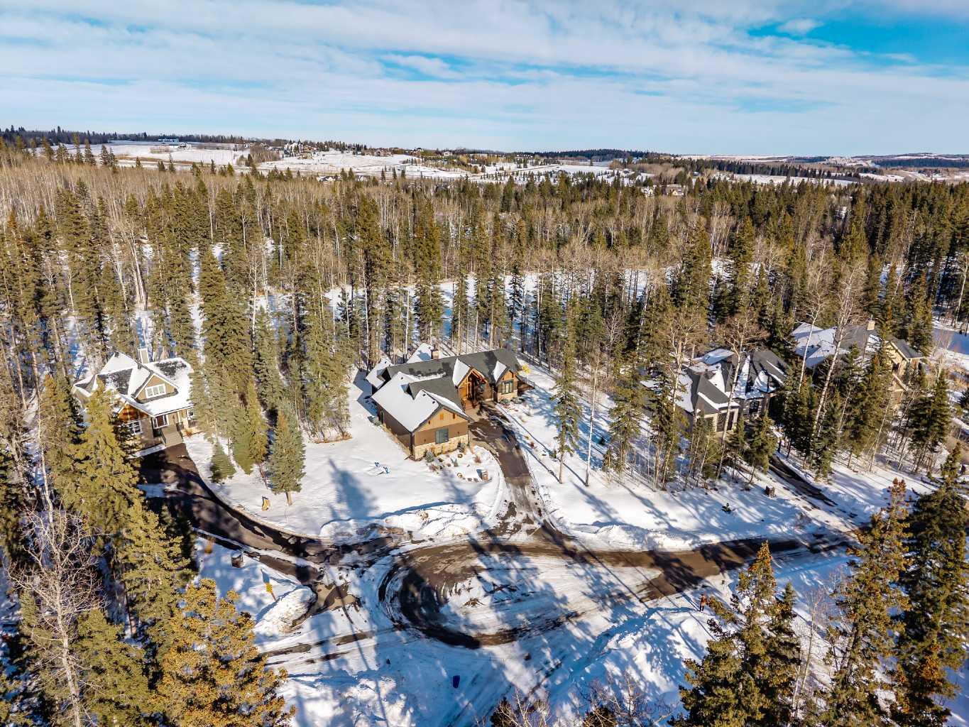 406 Hawk's Nest Grove