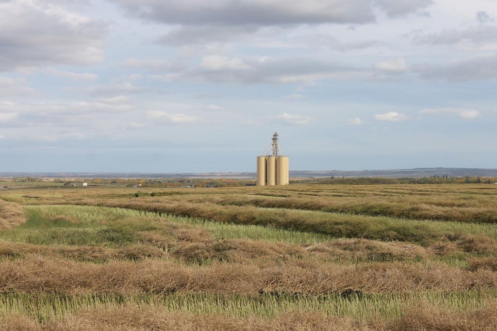Photo of 10400 85 Avenue, Sexsmith, AB T0H 3C0 (MLS # A1165129)