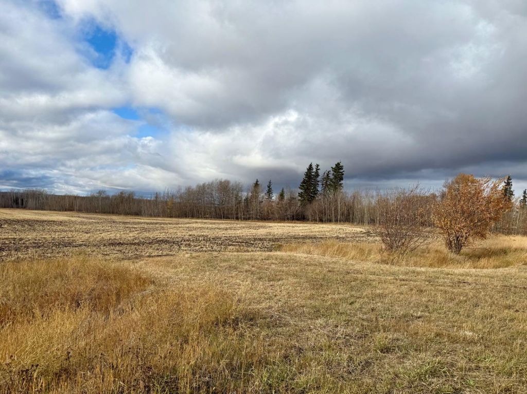 Photo of NE;19;72;9;W6 ,, Beaverlodge, AB T0H 0C0 (MLS # A2265280)