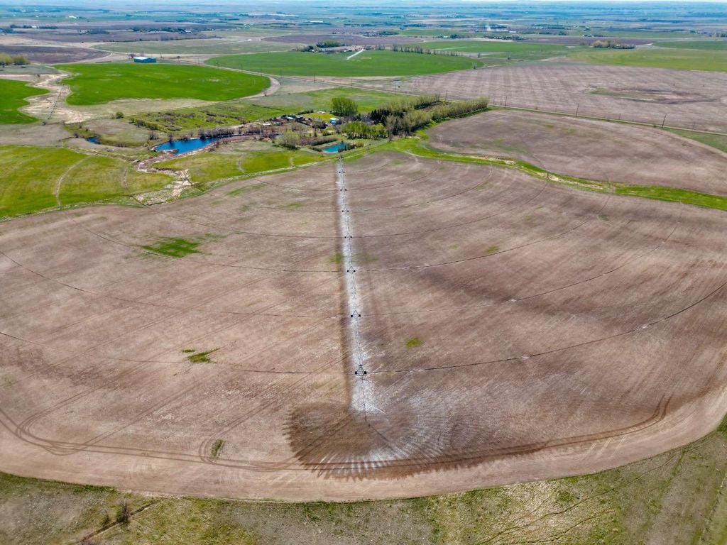 Photo of 7022 Township Road 120, Rural Cypress County, AB T1B 0L1 (MLS # A2311498)