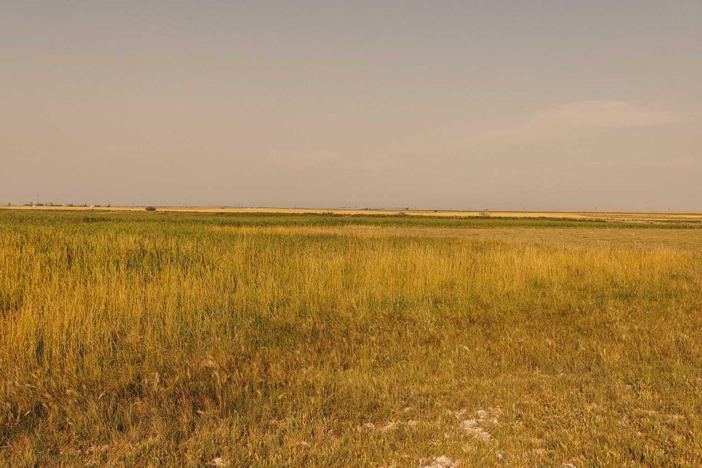 Photo of Parcel 1 Range Road 271 just south of Highway 9., Rural Rocky View County, AB T0M 1G0 (MLS # A2345149)