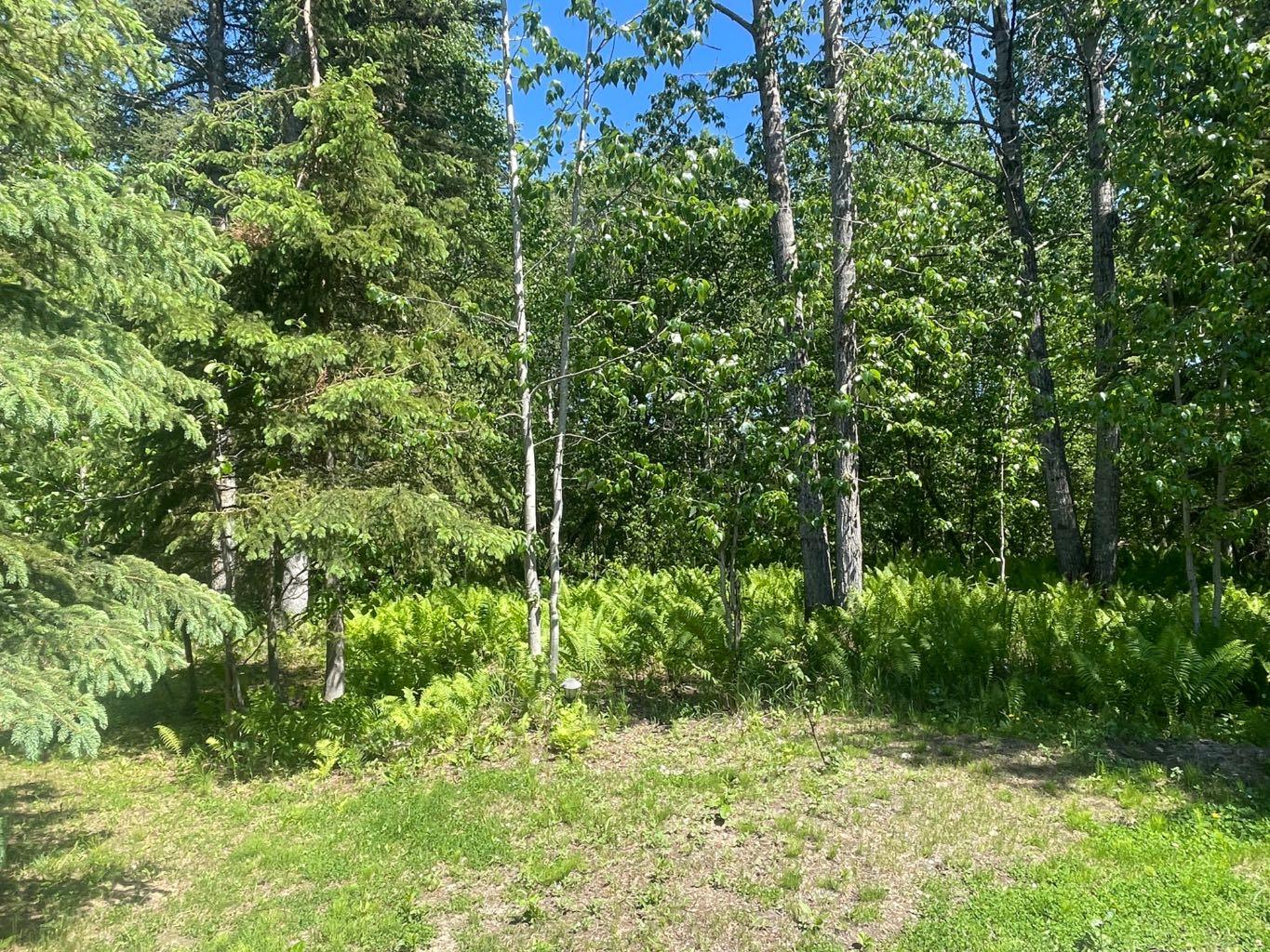 Lot 100 Willow Drive