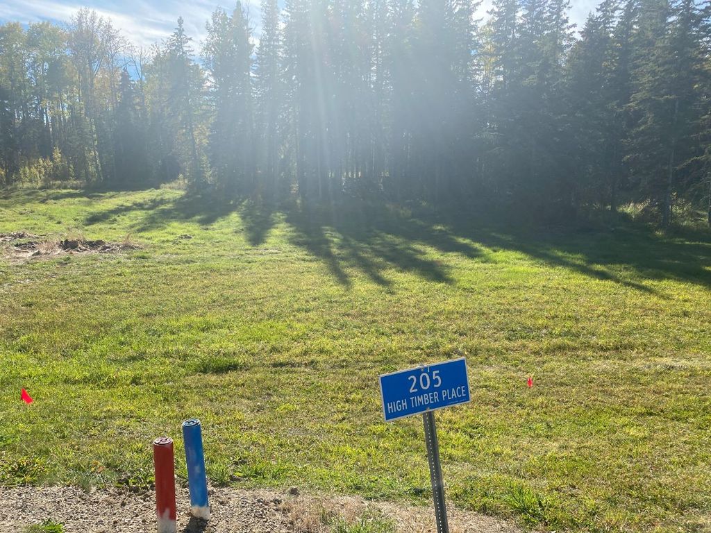 Photo of 205 High Timber Place, Rural Clearwater County, AB T4T 1A7 (MLS # A1259081)