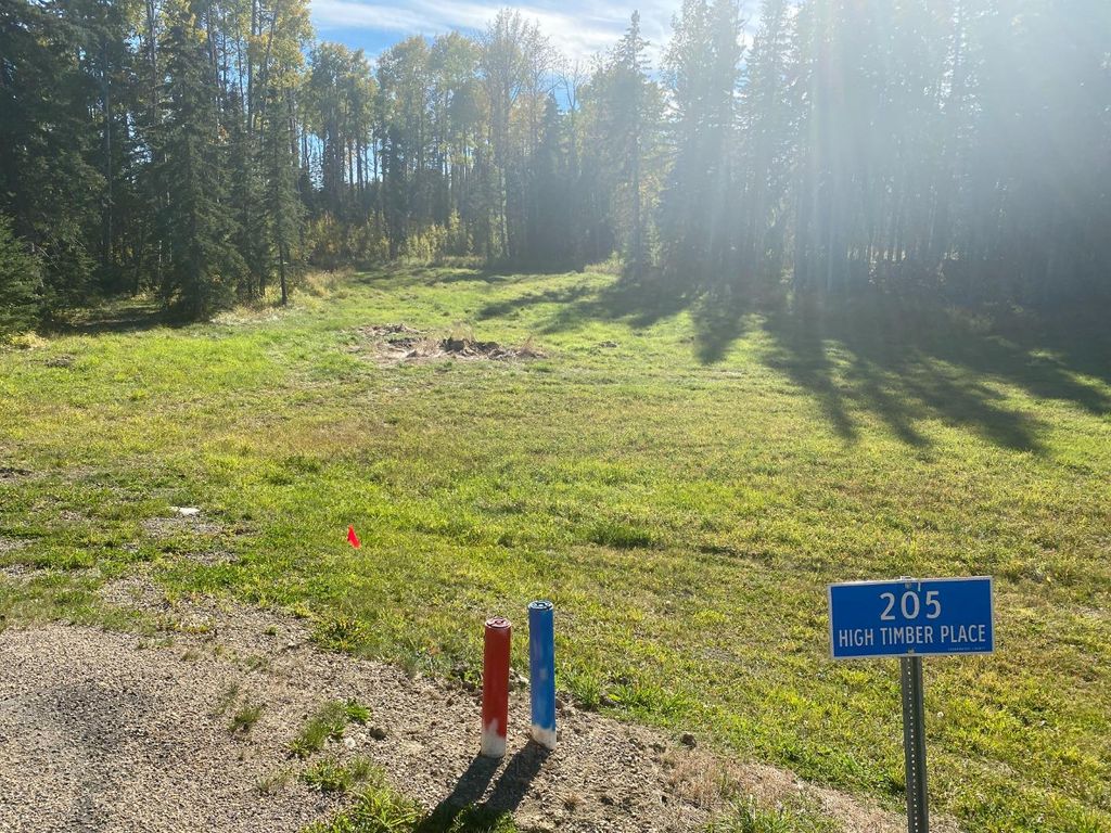 Photo of 205 High Timber Place, Rural Clearwater County, AB T4T 1A7 (MLS # A1259081)