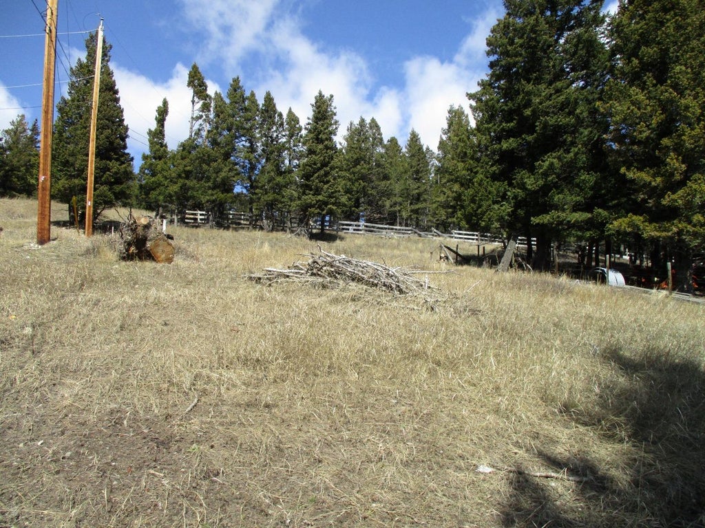 Photo of 6502 24 Avenue, Coleman, AB T0K 0M0 (MLS # A2148304)
