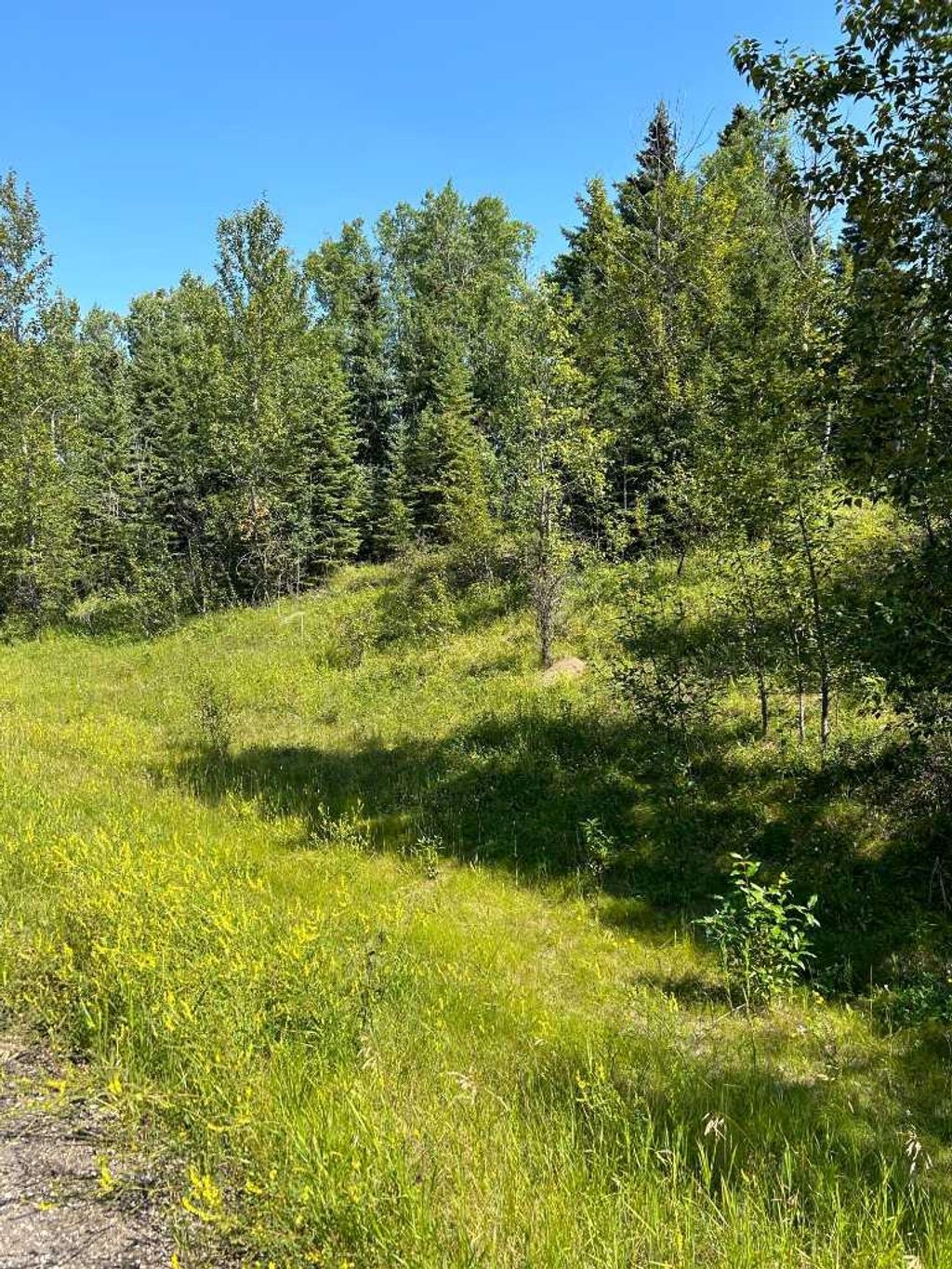 Photo of LOT R3 WESTRIDGE ROAD, Rural Woodlands County, AB T7S 1P8 (MLS # A2071514)
