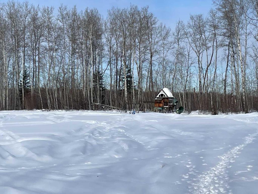 Photo of 109318 Range Road 195, Rural Mackenzie County, AB T0H 1Z0 (MLS # A2287419)