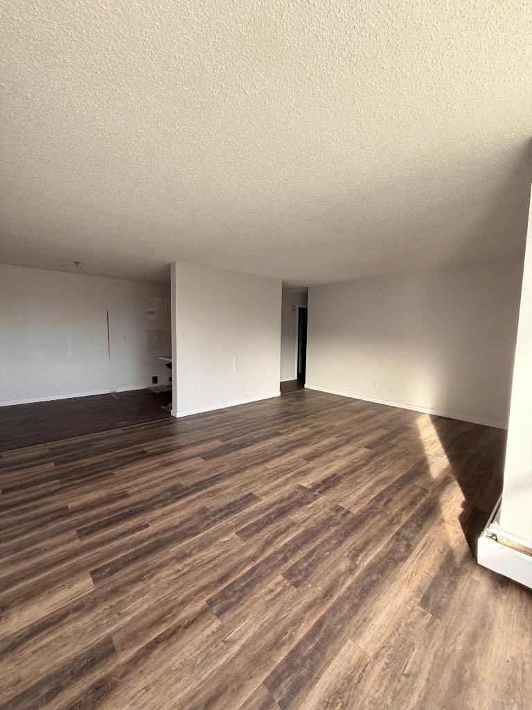 111 Charles Avenue 411