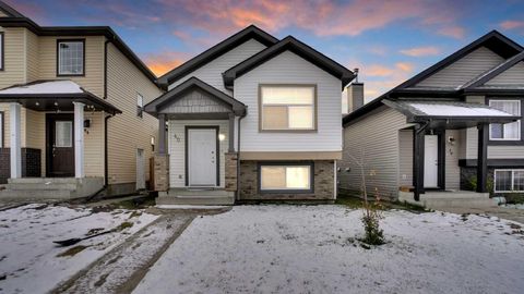 40 saddlefield Road NE Calgary AB T3J 4Z8