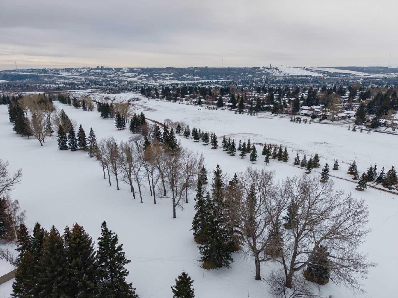 1510 Varsity Estates Drive NW