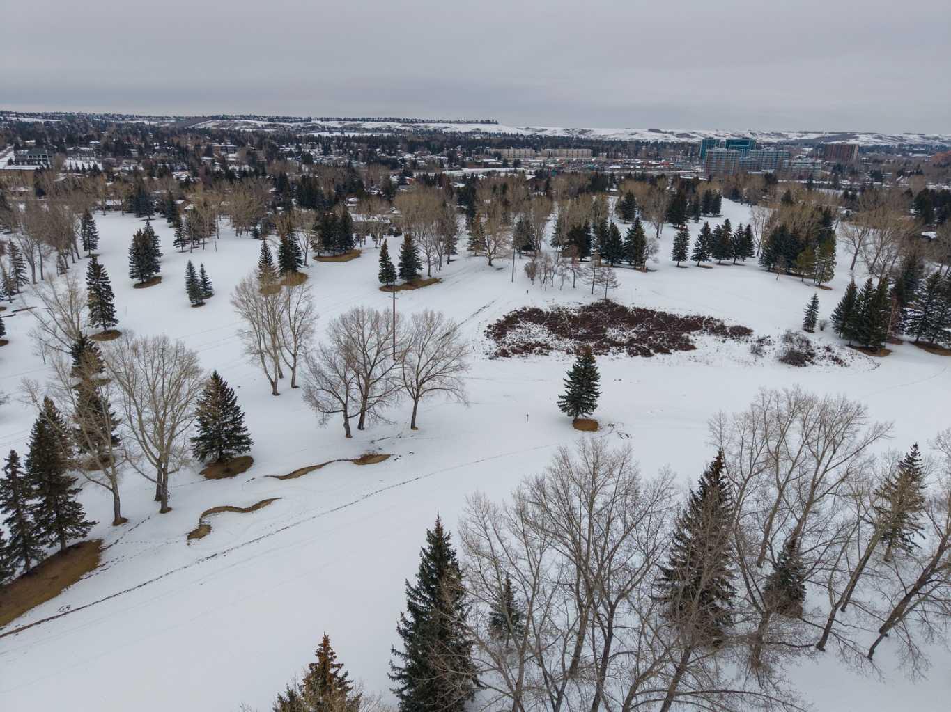 1510 Varsity Estates Drive NW