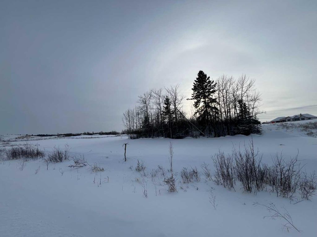 Photo of 313 Wolf Run Drive, Rural Ponoka County, AB T4J 1R3 (MLS # A2296313)