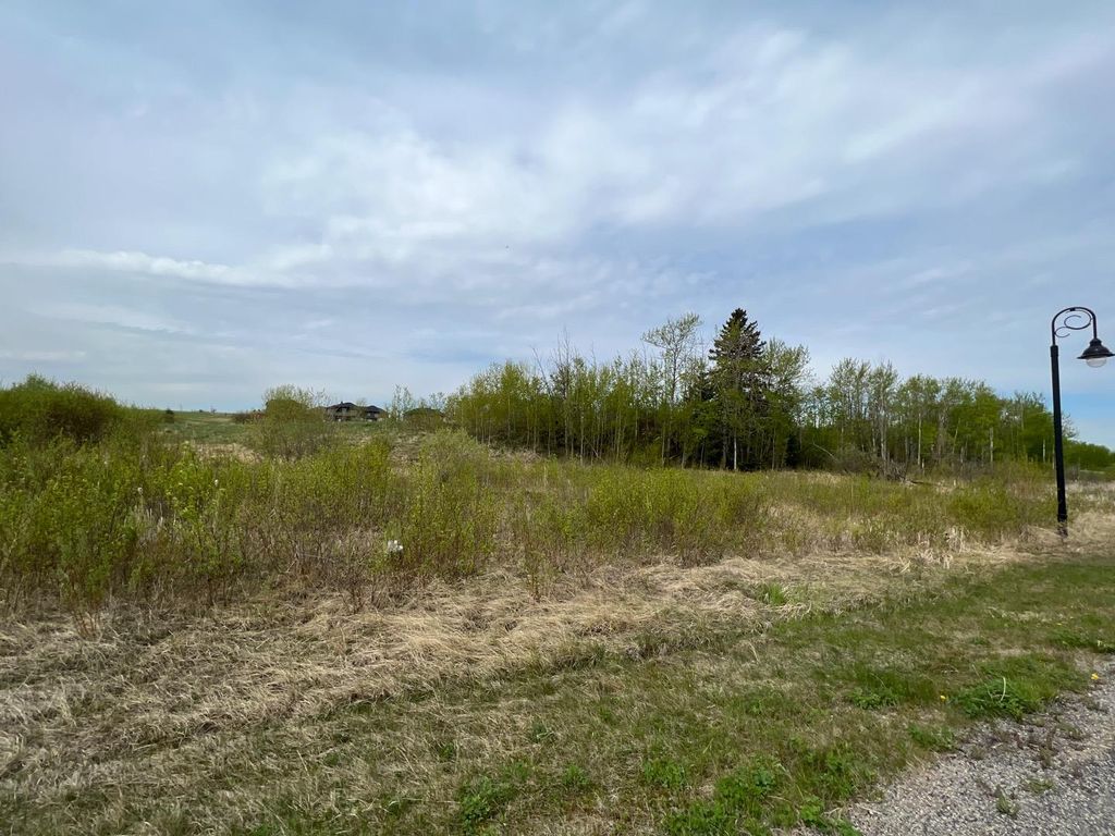 Photo of 313 Wolf Run Drive, Rural Ponoka County, AB T4J 1R3 (MLS # A2296313)