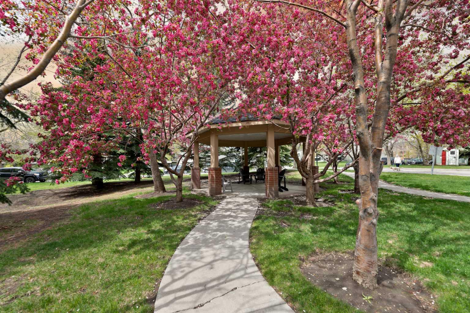 24 Hemlock Crescent SW 2108