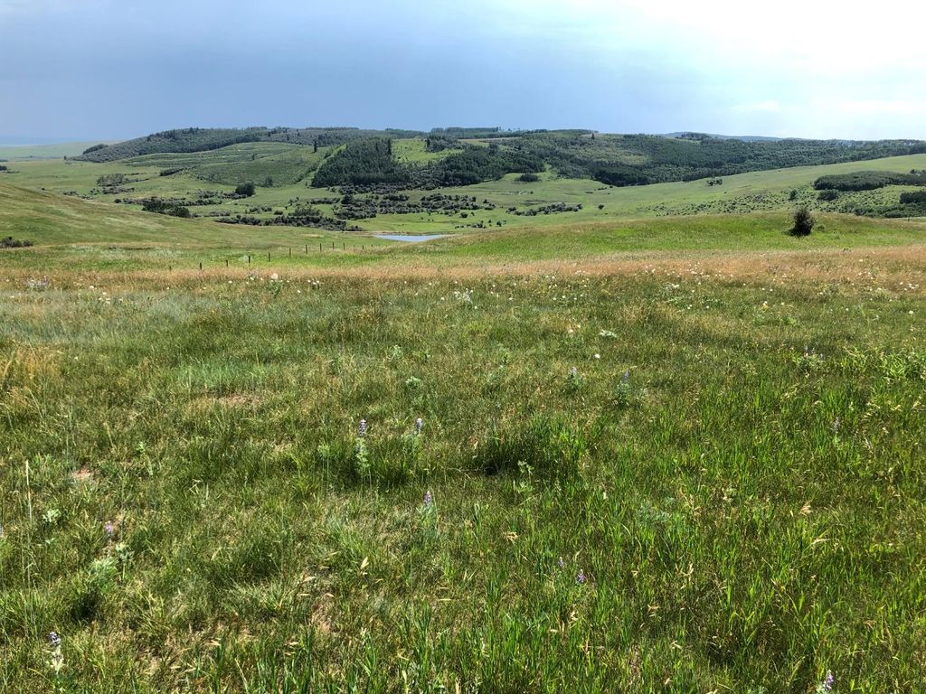 Photo of 151243 Basin Road, Rural Willow Creek No. 26, M.D. of, AB T0L 1R0 (MLS # A1211593)