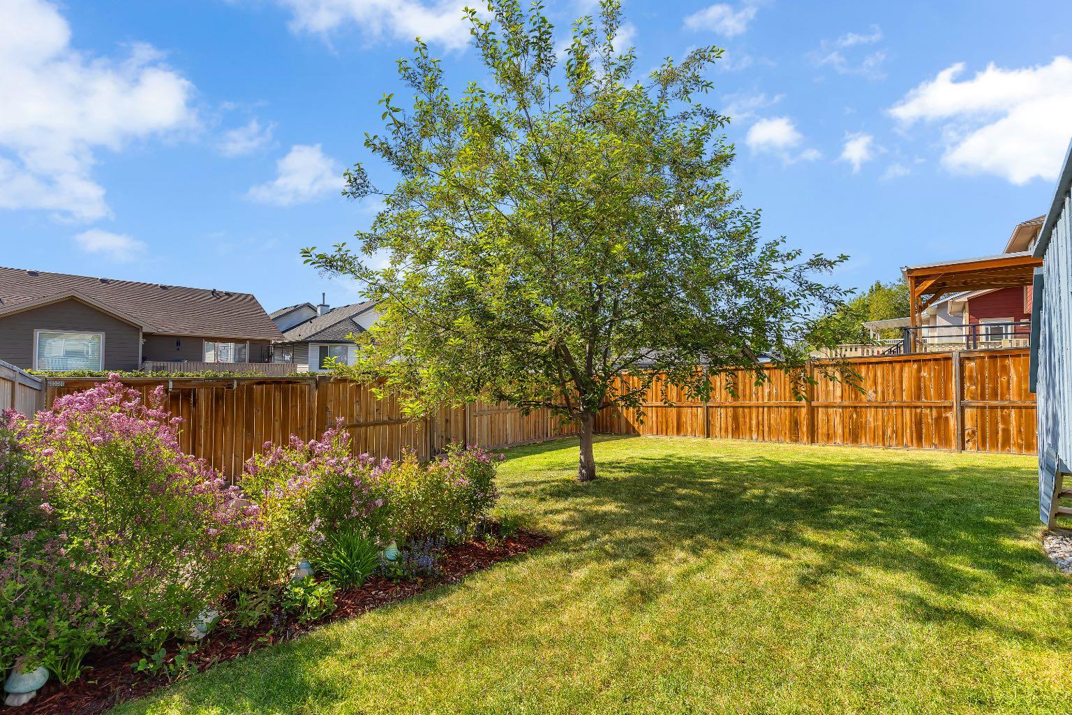 19 Thornbird Way SE