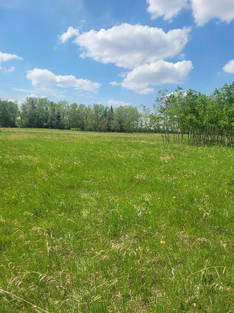 24166 Old Banff Coach Road