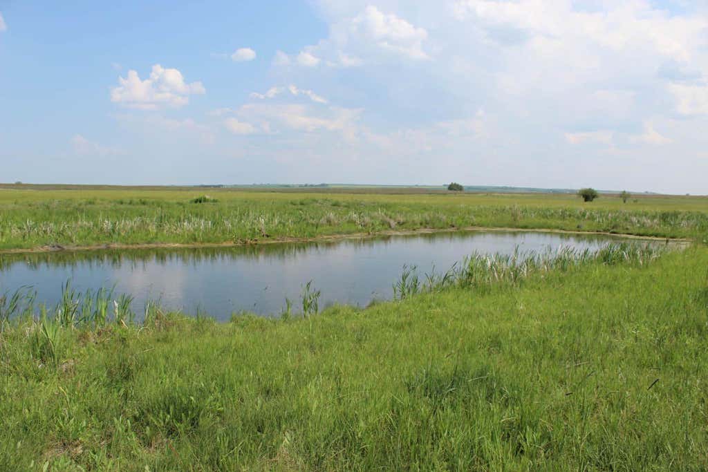 Photo of 272079 Highway 547, Rural Foothills County, AB T0L 0J0 (MLS # A2337404)