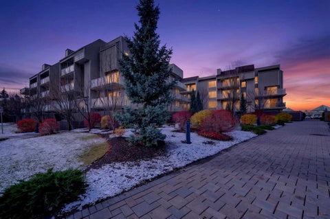 Photo of 3717 42 Street NW #307, Calgary, AB T3A 2W2 (MLS # A2354696)