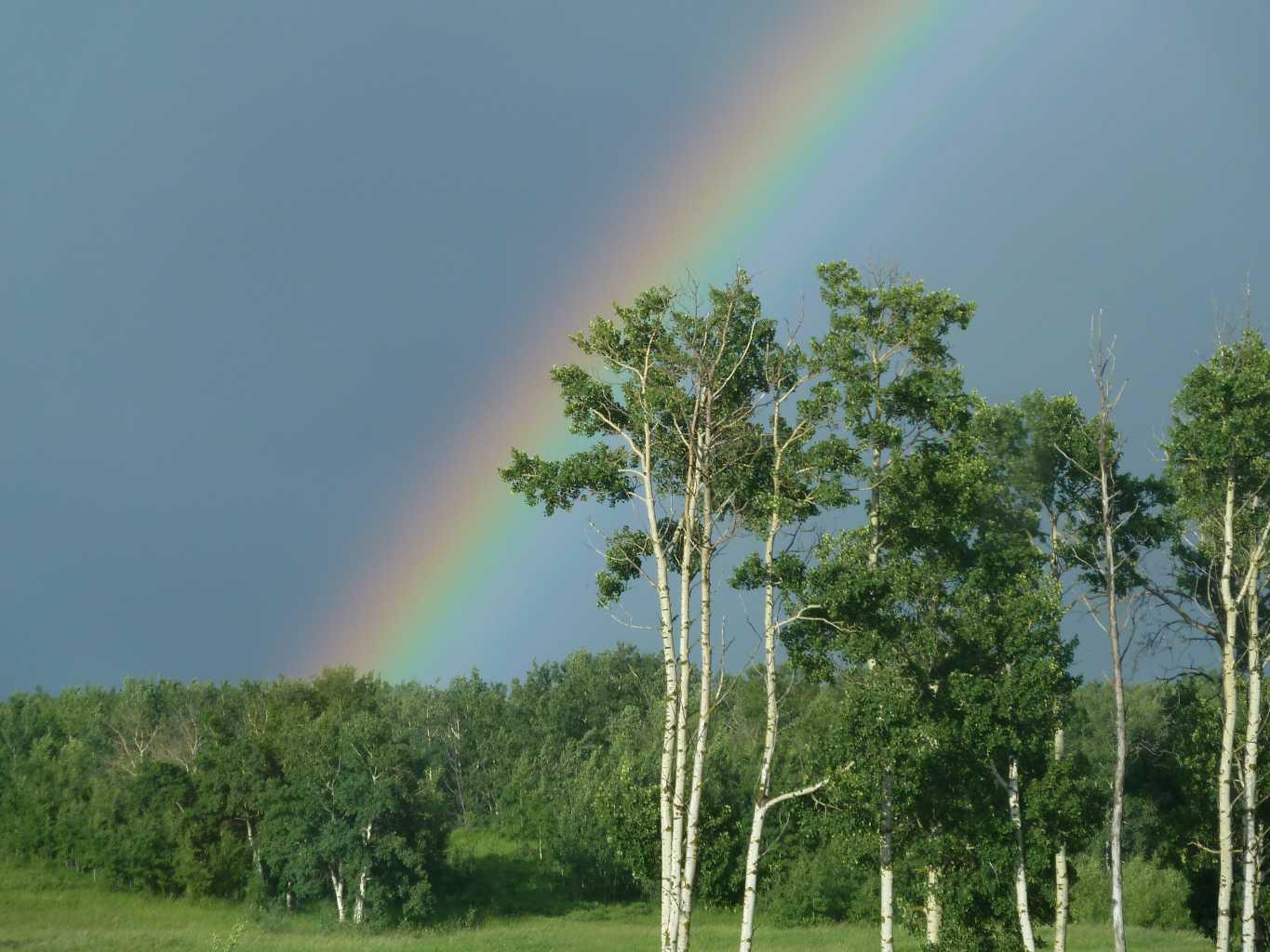 420069 Range Road 284 7